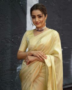 Trisha Krishnan Age, Husband, Family, Wiki, Movies, Biography, Photos
